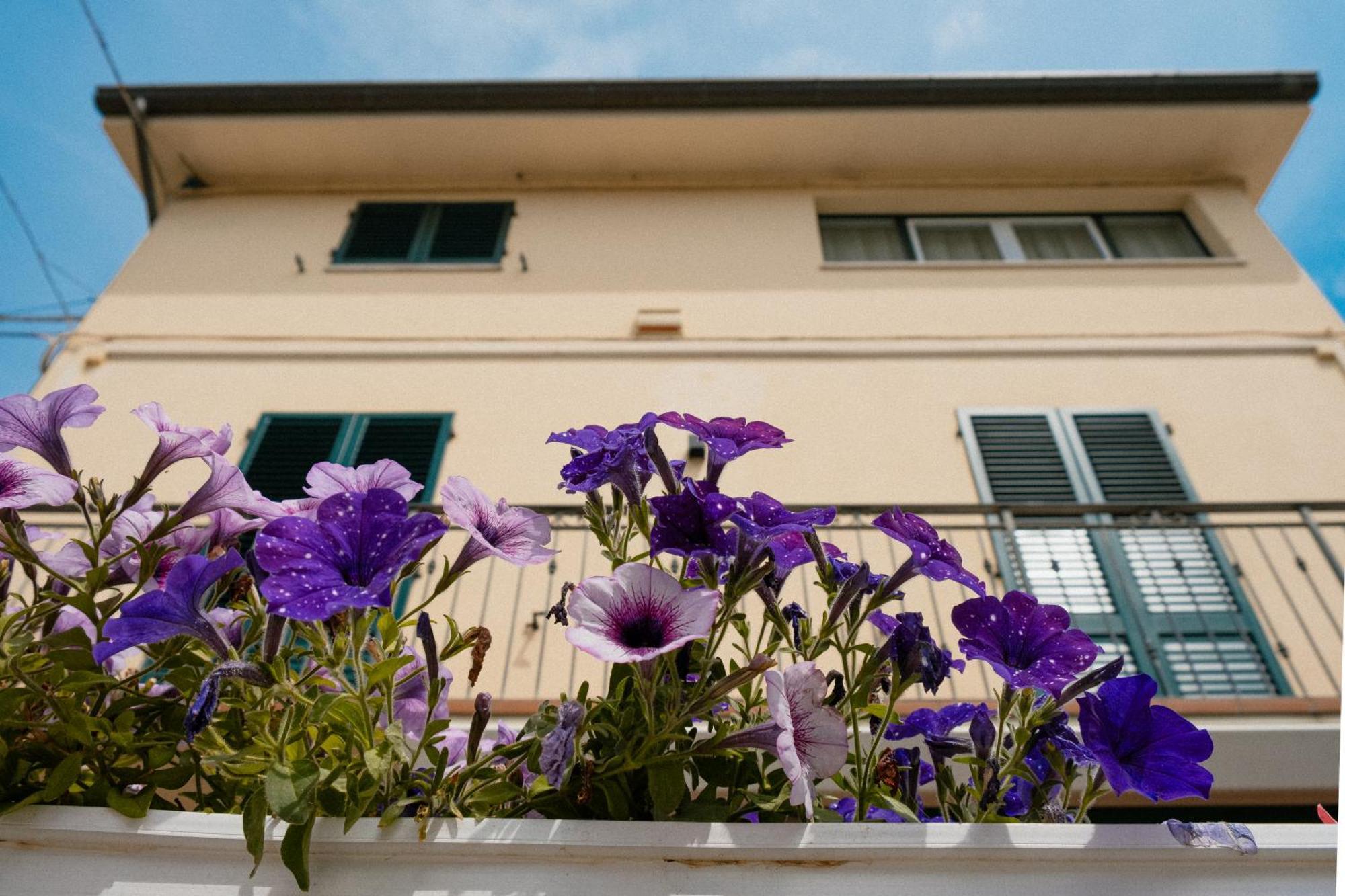 Residenza Nonno Mella Hotel Porto Sant'Elpidio Exterior photo